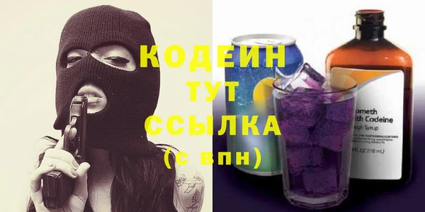 индика Зарайск
