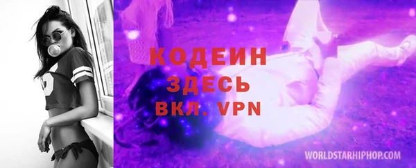 индика Зарайск
