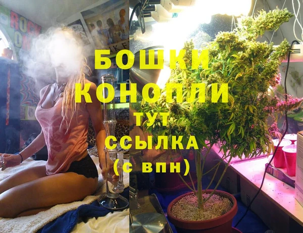 MDMA Premium VHQ Заполярный