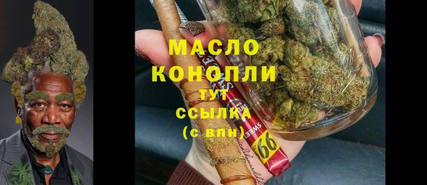 индика Зарайск