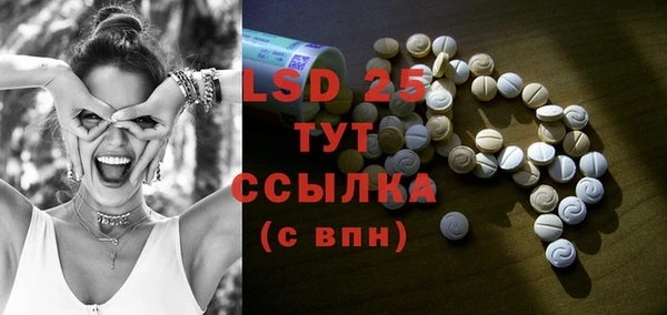индика Зарайск