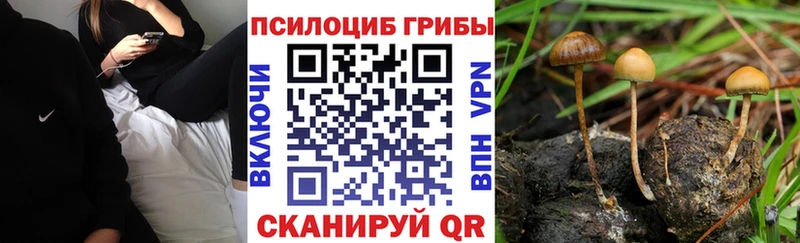 Псилоцибиновые грибы GOLDEN TEACHER  MEGA как войти  Ивантеевка 