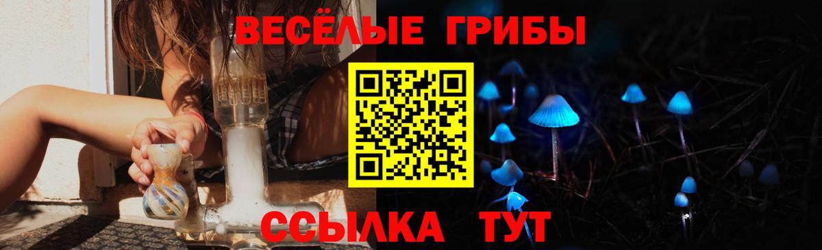 Ивантеевка  Галлюциногенные грибы Magic Shrooms  Вход с VPN 